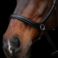 Bitloos hoofdstel HV Polo Legacy Chocoladebruin Bitloos hoofdstel HV Polo Legacy Chocoladebruin