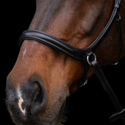 Bitloos hoofdstel HV Polo Legacy Zwart