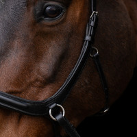 Bitloos hoofdstel HV Polo Legacy Chocoladebruin Bitloos hoofdstel HV Polo Legacy Chocoladebruin