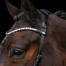 Bitloos hoofdstel HV Polo Legacy Zwart