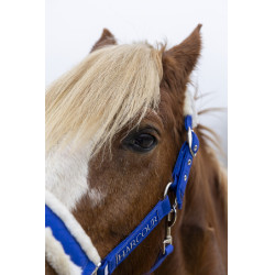 Halster en halstertouw Harcour Teschic Halster en halstertouw Harcour Teschic