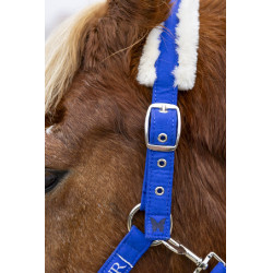 Halster en halstertouw Harcour Teschic Halster en halstertouw Harcour Teschic