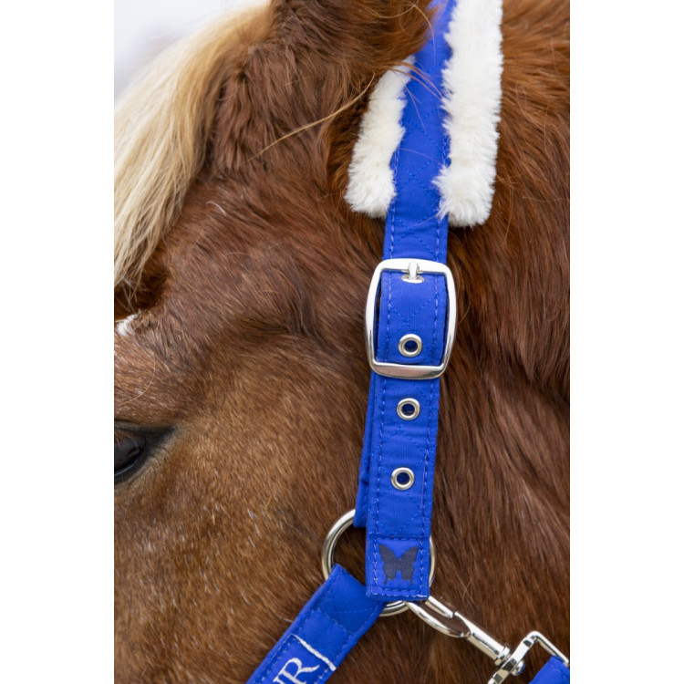 Halster en halstertouw Harcour Teschic Halster en halstertouw Harcour Teschic