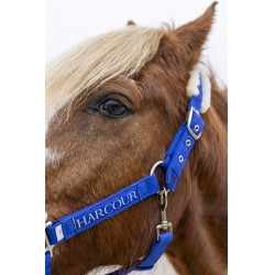 Halster en halstertouw Harcour Teschic Halster en halstertouw Harcour Teschic