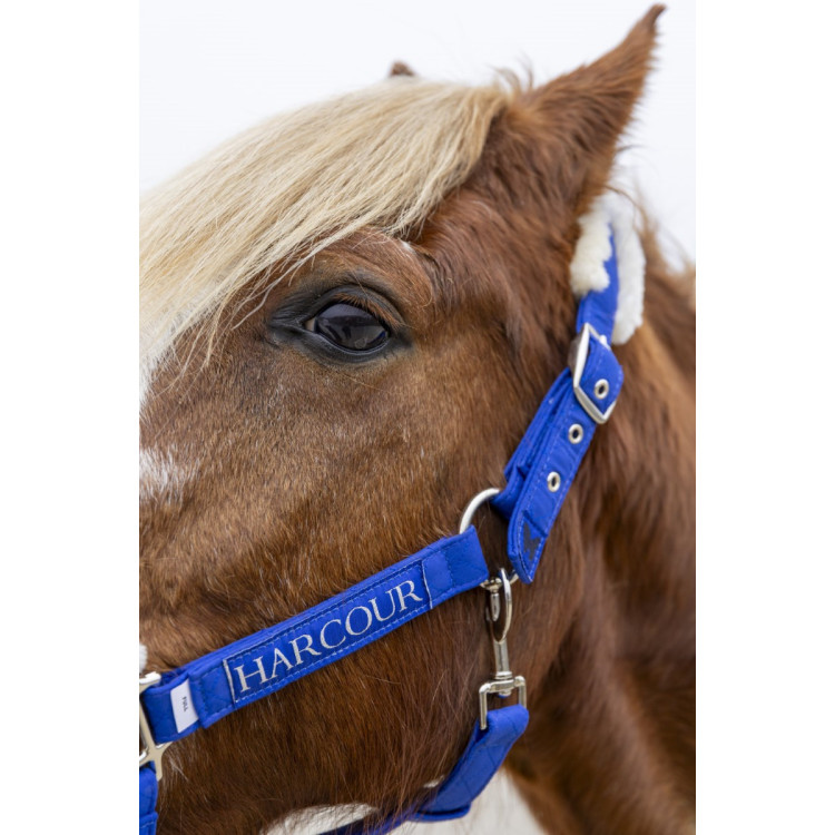 Halster en halstertouw Harcour Teschic Halster en halstertouw Harcour Teschic