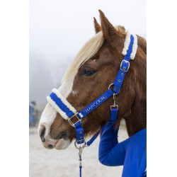 Halster en halstertouw Harcour Teschic Halster en halstertouw Harcour Teschic