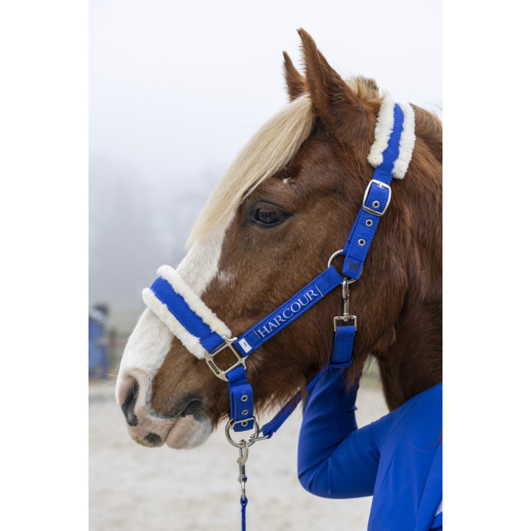 Halster en halstertouw Harcour Teschic Halster en halstertouw Harcour Teschic