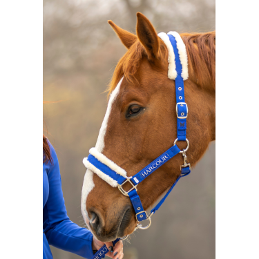 Halster en halstertouw Harcour Teschic Elektrisch blauw