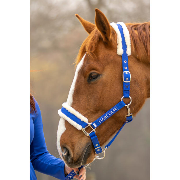 Halster en halstertouw Harcour Teschic Halster en halstertouw Harcour Teschic