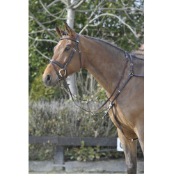 Stübben SideFit borsttuig met afneembare en verstelbare martingaalfork Ebbenhout / ebbenhout