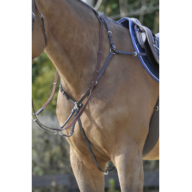 Stübben SideFit borsttuig met afneembare en verstelbare martingaalfork Ebbenhout / ebbenhout