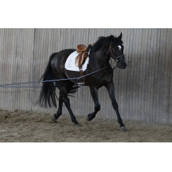 Lange teugels AKA Stübben Blauw / Wit