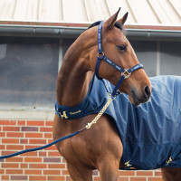 Lange ketting Horze Holbrook Donkerblauwe peacoat Lange ketting Horze Holbrook Donkerblauwe peacoat