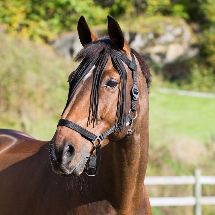 Horze Frontal vliegenfrontriem