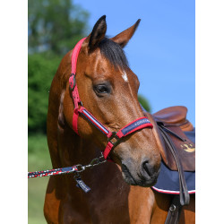Halster en halstertouw Tommy Hilfiger Equestrian Yale