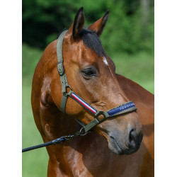Halster en halstertouw Tommy Hilfiger Equestrian Yale Halster en halstertouw Tommy Hilfiger Equestrian Yale