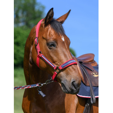 Halster Tommy Hilfiger Equestrian Lincoln