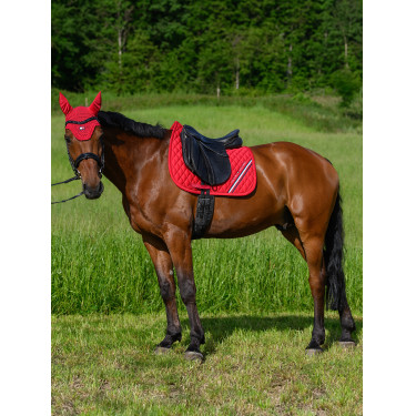 Tommy Hilfiger Equestrian Stanford dressuurdekje Tommy Hilfiger Equestrian Stanford dressuurdekje