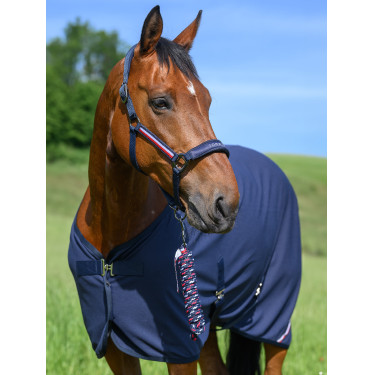 Halster en halstertouw Tommy Hilfiger Equestrian Yale Marineblauw