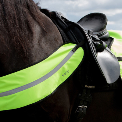 Reflecterend harnas-halsband Horze Geel