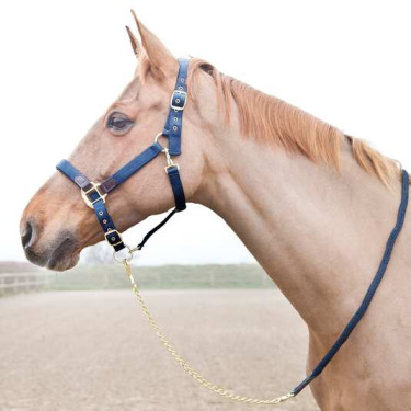 Lange ketting Horze Holbrook Lange ketting Horze Holbrook