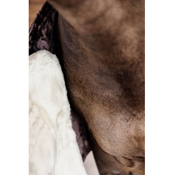 Borstverbreder Schaap Vegan Kentucky Natuurlijk Bruin Borstverbreder Schaap Vegan Kentucky Natuurlijk Bruin