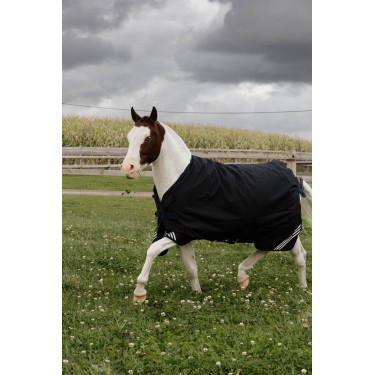 Turnout deken All Weather Waterproof Comfort Kentucky Turnout deken All Weather Waterproof Comfort Kentucky