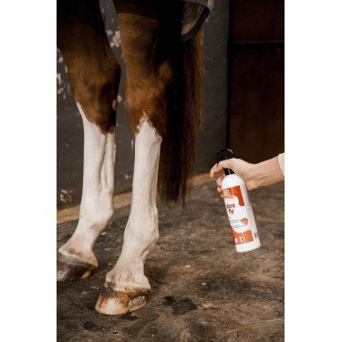 Insecticide-afweermiddel Rekor Ultra Fly Insecticide-afweermiddel Rekor Ultra Fly