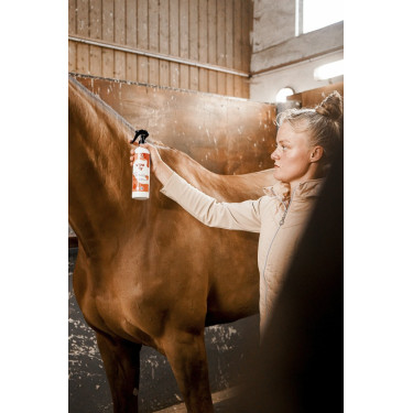 Insecticide-afweermiddel Rekor Ultra Fly Insecticide-afweermiddel Rekor Ultra Fly