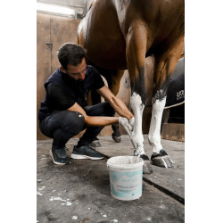 Ontspannende pasta voor pezen en gewrichten Rekor Ice N'Tight