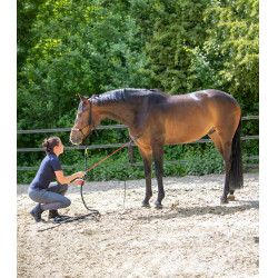 Waldhausen ethologische stick Waldhausen ethologische stick