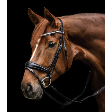 Bridon Waldhausen S-Line Essential Zwart