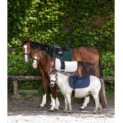 Zadeldek Waldhausen Felix Donkergroen Zadeldek Waldhausen Felix Donkergroen