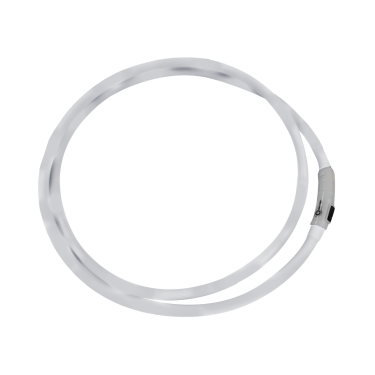 LED-halsband Waldhausen