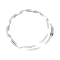 LED-halsband Waldhausen Wit