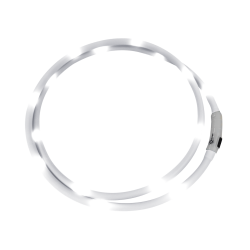 LED-halsband Waldhausen Wit