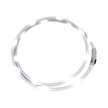 LED-halsband Waldhausen Wit