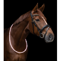 LED-halsband Waldhausen Wit