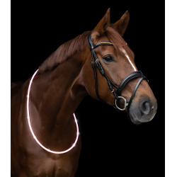 LED-halsband Waldhausen Wit