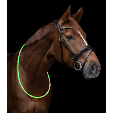 LED-halsband Waldhausen Groen