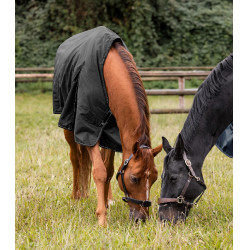 Waldhausen Nordic 100 g outdoor deken Zwart Waldhausen Nordic 100 g outdoor deken Zwart