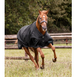 Waldhausen Nordic 50 g outdoor deken Zwart