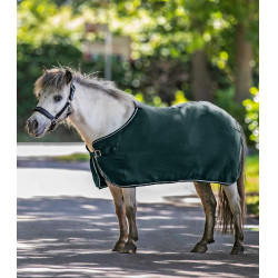 Waldhausen Economic fleece deken Donkergroen Waldhausen Economic fleece deken Donkergroen