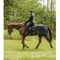 Waldhausen Exclusive 50 g achterdeken Zwart