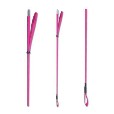 Waldhausen zweep Roze