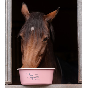 Voederbak met deksel Waldhausen Linnea roos Voederbak met deksel Waldhausen Linnea roos