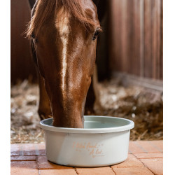 XL-voederbak met deksel Waldhausen Turkoois Blauw
