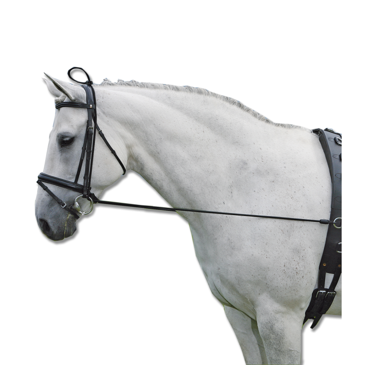 Elongateur Waldhausen d‘encolure élastique