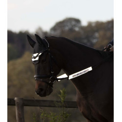 Reflecterende set van Waldhausen voor Reflex-hoofdstellen Zilvergrijs