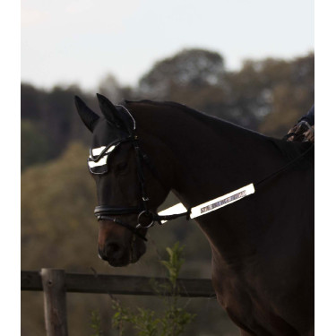 Reflecterende set van Waldhausen voor Reflex-hoofdstellen Zilvergrijs